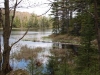 Birdathon 2010
