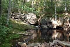 Central Pepperbox Wilderness 2010