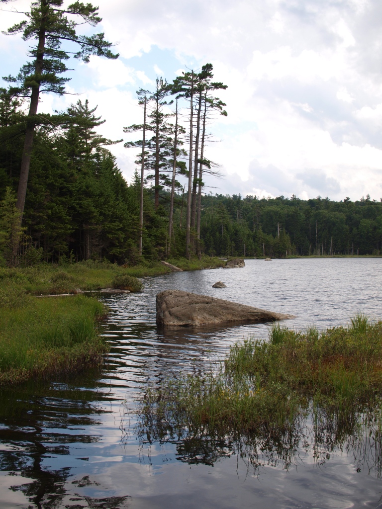 Stillwater Reservoir to Cranberry Lake Trip Bushwhacking to Upper