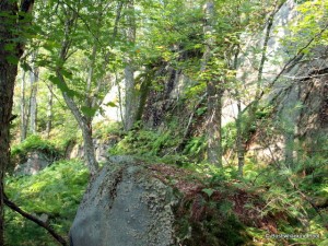 Cliffs along Threemile Beaver Meadow