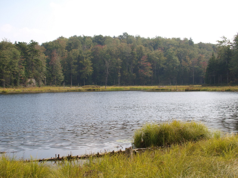 Central Pepperbox Wilderness Trip Report Day Two Exploring Bear Pond