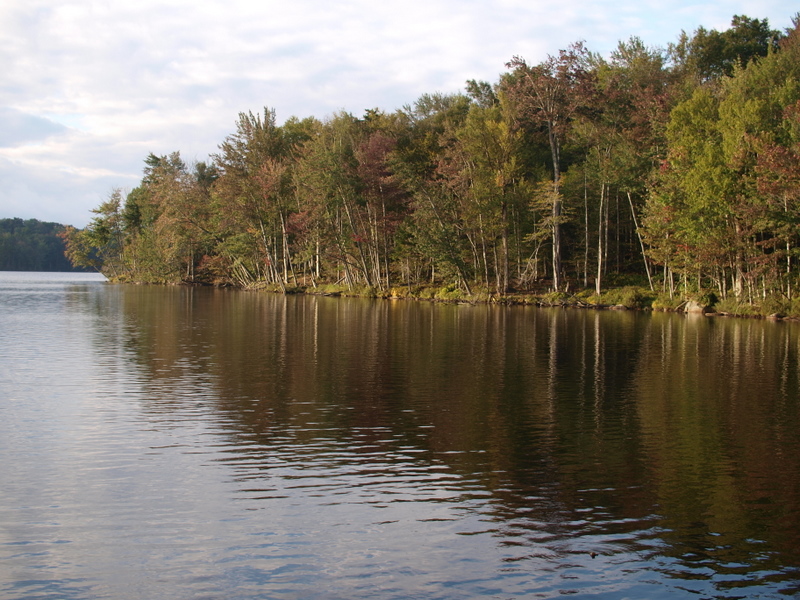 Central Pepperbox Wilderness Trip Report Climbing toward the beaver
