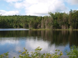 Lower Oven Lake