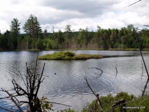 Small island in middle portion of Oven Lake