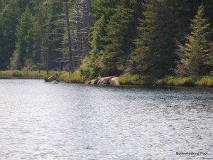 Rocks along northern shore of West Pond