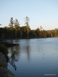West Pond at dusk