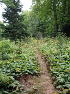 Minong Ridge Trail