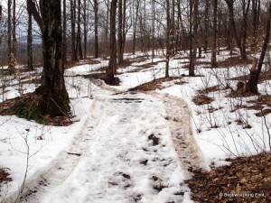 Vehicle tracks in front of lean-to