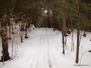 Snowmobile trail at Hoxie Gorge