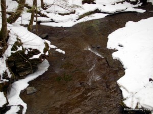 Stream at Hoxie Gorge