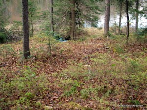 Path down to Cropsey Pond