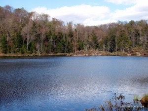 Cropsey Pond