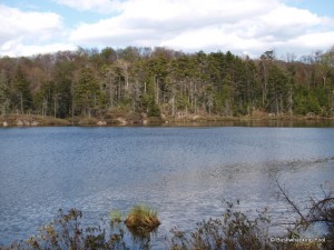 Cropsey Pond