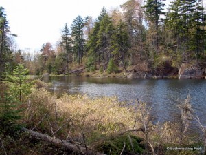 Cropsey Pond