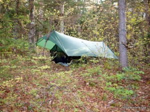 Tarp near Cropsey Pond