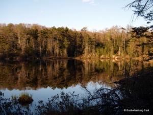 Dusk at Cropsey Pond