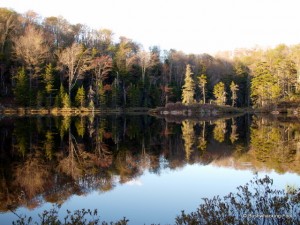 Crospey Pond at dusk