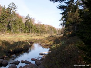 Cropsey Pond outlet stream