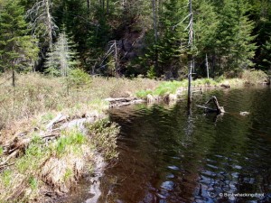 Crossed beaver dam along unnamed stream