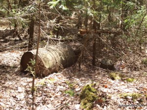 Discarded old oil drum