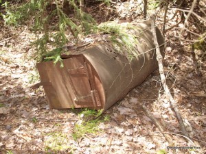 Discarded oil drum