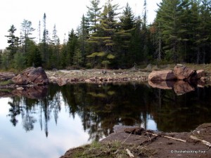 Pond in beaver meadow