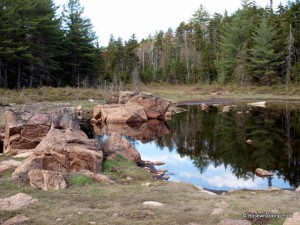 Rocks at pond in beaver meadow