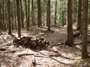 Log stack at old campsite