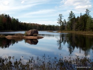 Southern portion of Deer Pond