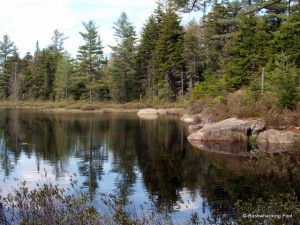 Flat rocks on eastern shore of Deer Pond