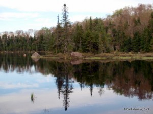 Sunshine Pond