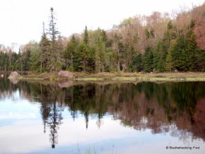 Sunshine Pond