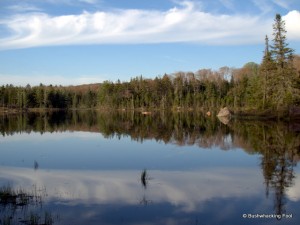 Sunshine Pond