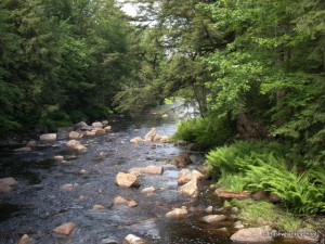 Downriver of the Middle Branch Oswegatchie River