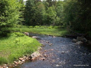 Upriver of Middle Branch Oswegatchie River