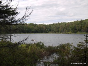 Upper South Pond