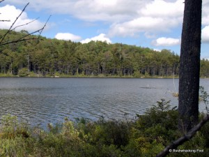 Upper South Pond