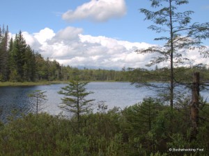 Middle South Pond