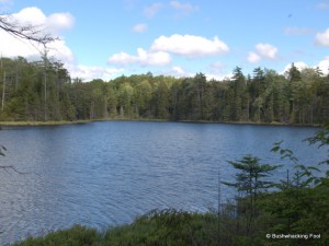 Little South Pond