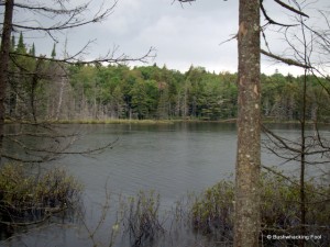 Lower South Pond