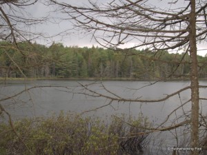 Lower South Pond