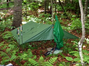 Tarp site along Lower South Pond