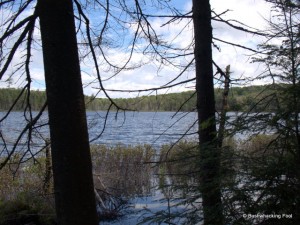 A sunnier Lower South Pond