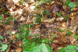 Breadcrumb at Lower South Pond