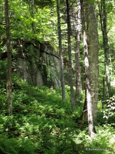 Cliffs while descending to the carpet spruce swamp