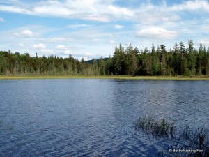 Confluence to the south