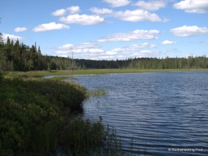 Confluence to the north