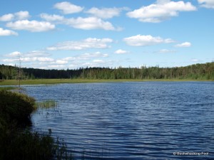 Confluence to the north