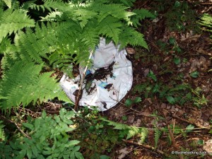 Balloon on ridge north of confluence