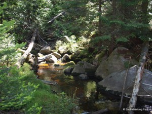 Whispering stream near campsite